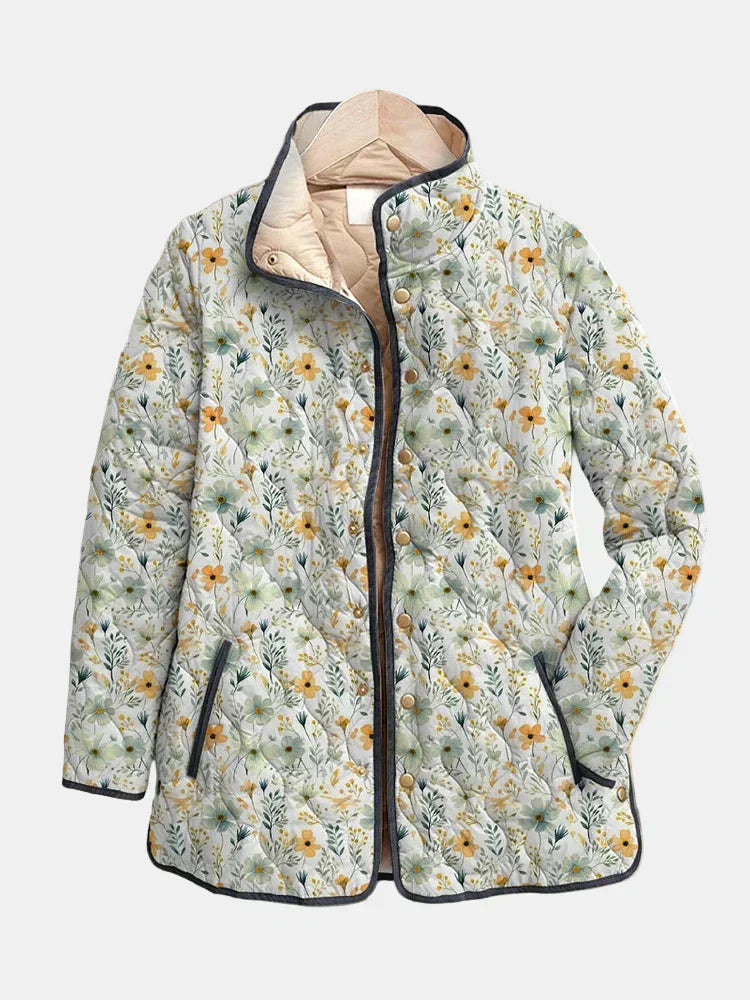 Multicolor / 5XL